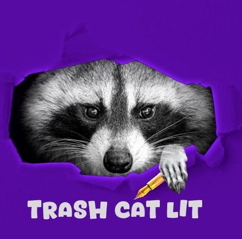 TRASH CAT LIT