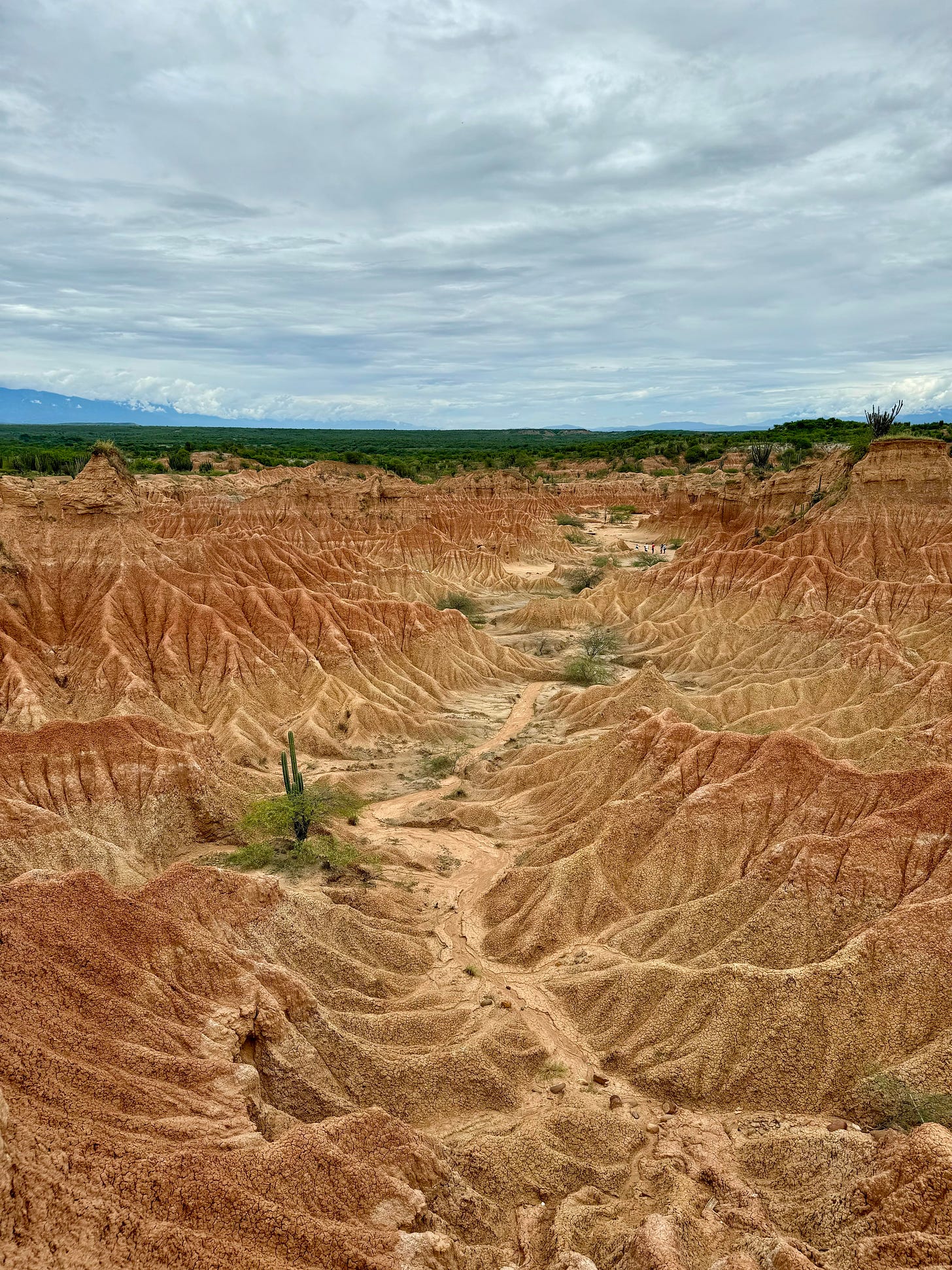 Sector del desierto rojo de Tatacoa. Al fondo, vegetación verde y un trozo de cielo nublado. Foto propia.