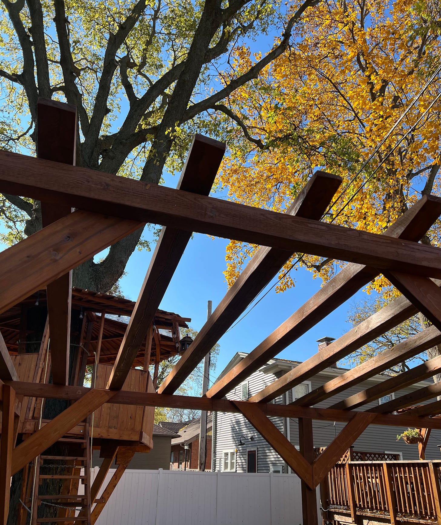 A pergola and treehouse