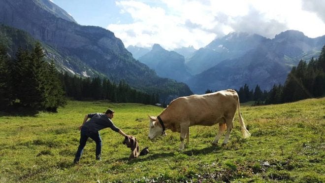 oeschinensee