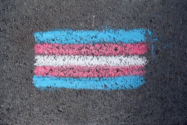 A transgender flag drawn n chalk on the ground
