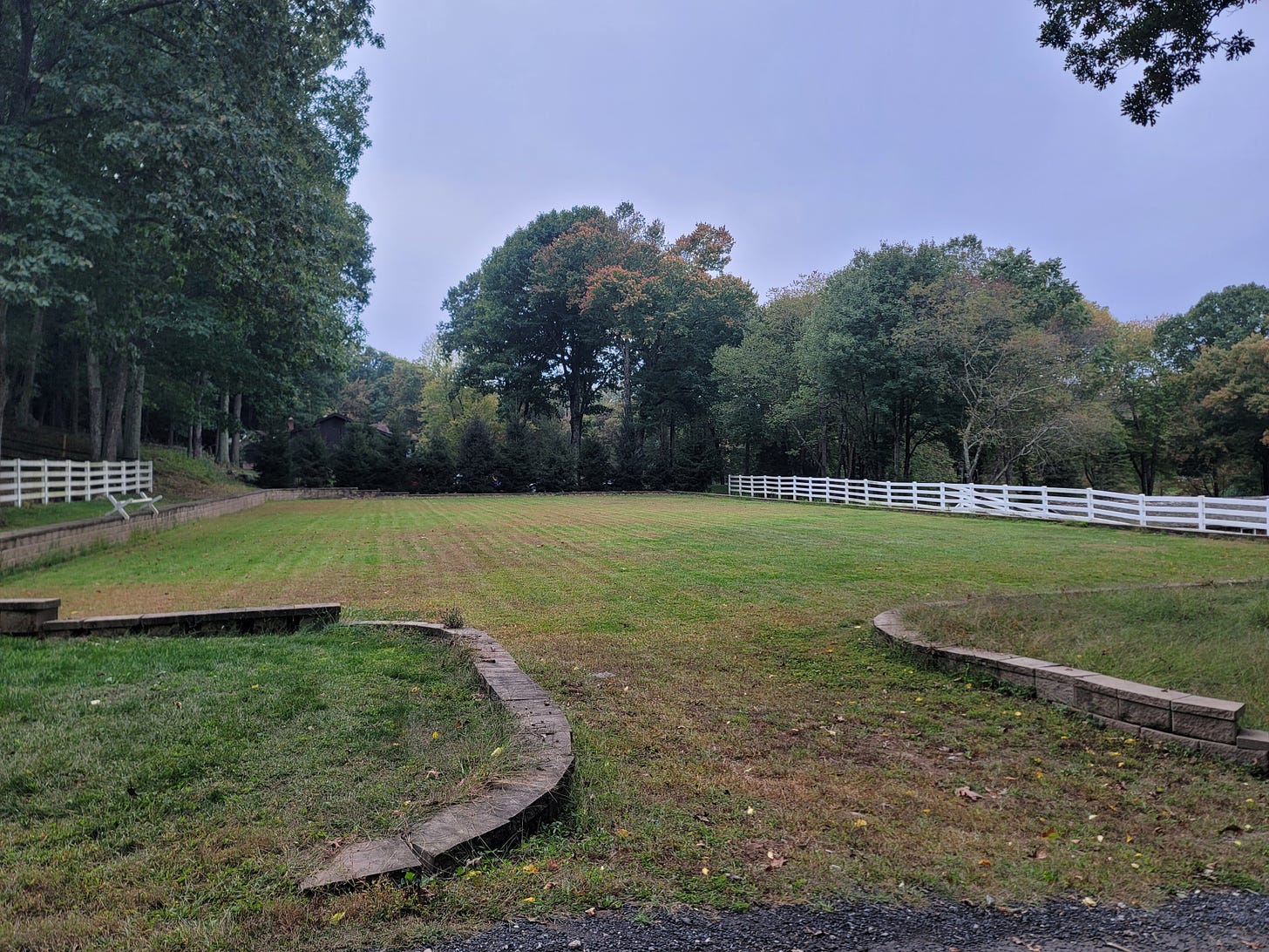 an empty green field lined with white fencing.