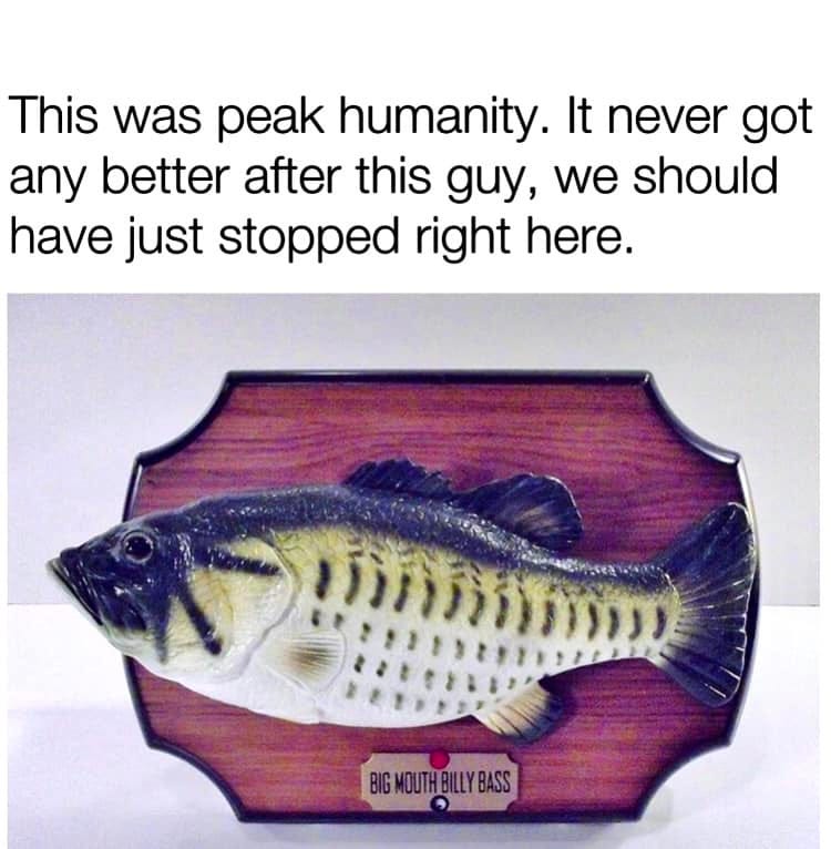 May be an image of fishing and text