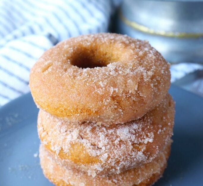 cinnamon sugar pumpkin donuts 2