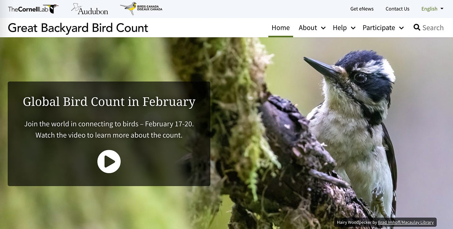 homepage of great backyard bird count site