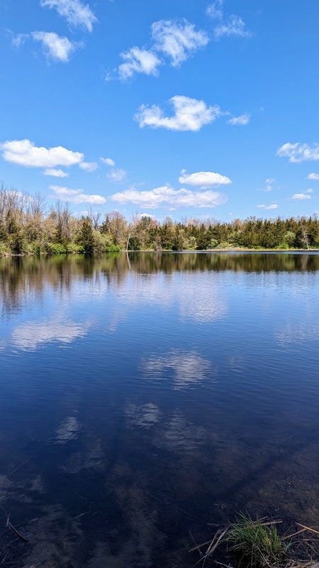 Blue sky with clouds reflected in the still water surface of a lake surrounded by trees