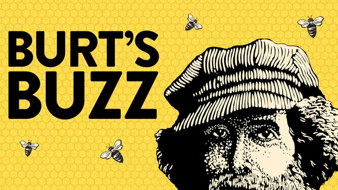 Is 'Burt's Buzz' on Netflix UK? Where to Watch the Documentary - New On  Netflix UK