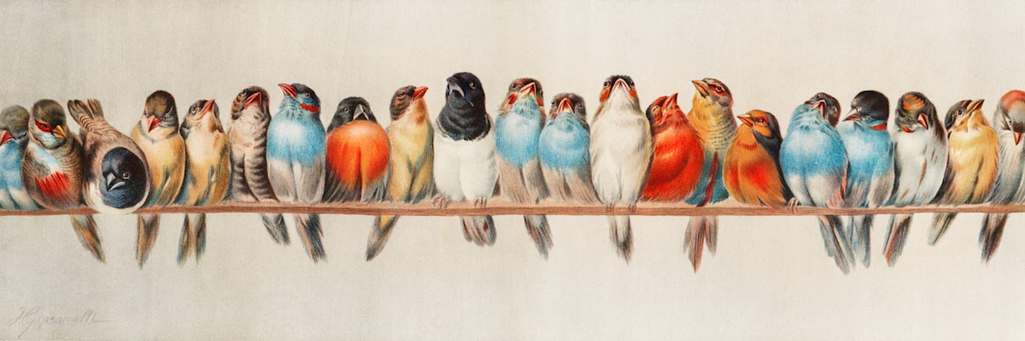 A Perch of Birds, Hector Giacomelli, 1880