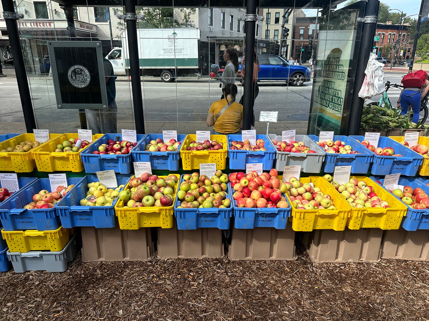 Lots of bins filled with apples and Chicago behind them