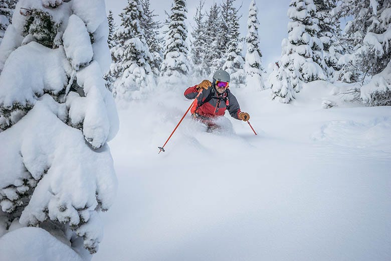 Best Powder Skis of 2023 | Switchback Travel