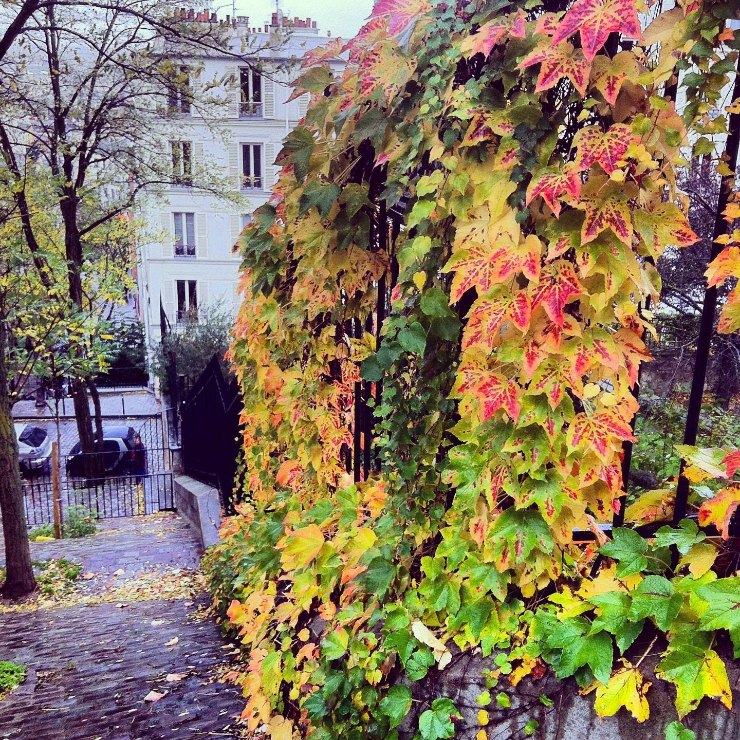 Fall into Automne, Yogateau newsletter about yoga in Paris