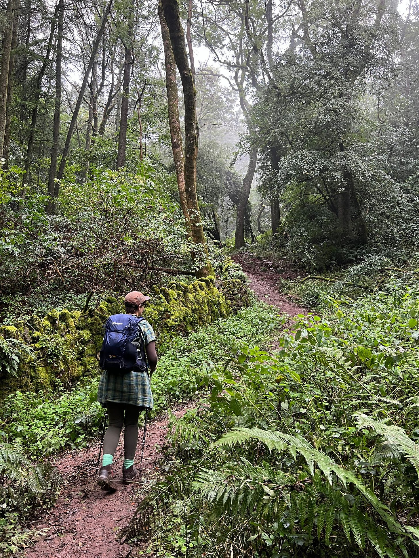 Katie, a white human hiking in a mysterious and misty forest.