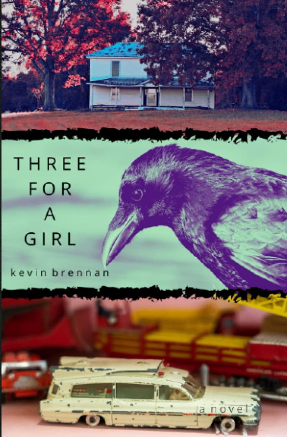 Book cover in thirds: upper, a two-story house; middle, a crow; bottom, a Cadillac turned into an ambulance.