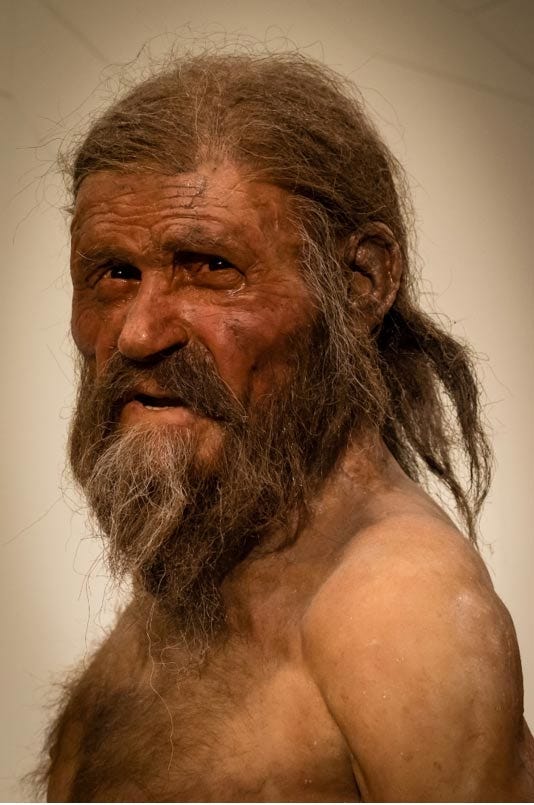 5,300-Year-Old Otzi the Iceman Yields Oldest Known Human Blood | Ancient Origins
