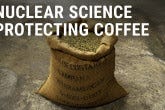 https://www.iaea.org/sites/default/files/styles/thumbnail_165x110/public/coffee-16by9.jpg?itok=luJKveTI