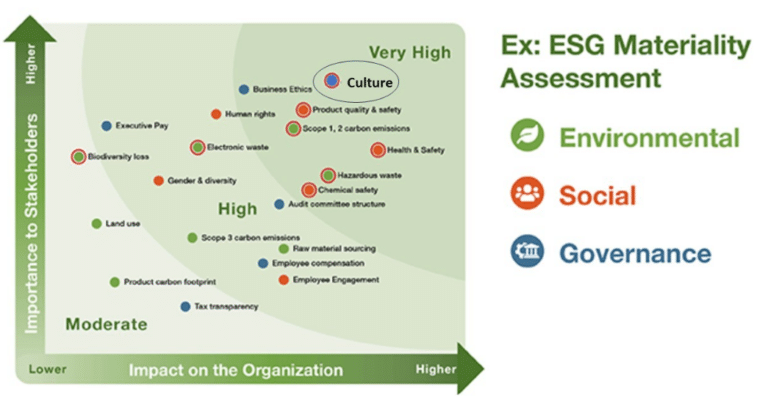 ESG materiality assenssment