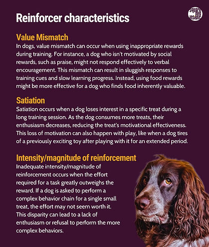 Examples of reinforcer characteristics in dog context