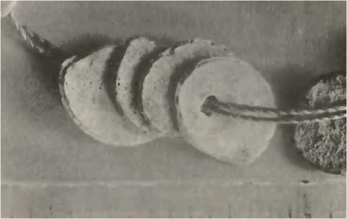 Comptes del collaret de petxina, trobades al dolmen de Son Joaquim. Montsec de Rúbies (o Montsec de Meià). Vilanova de Meià, a la comarca de la Noguera, Lleida, Catalunya.