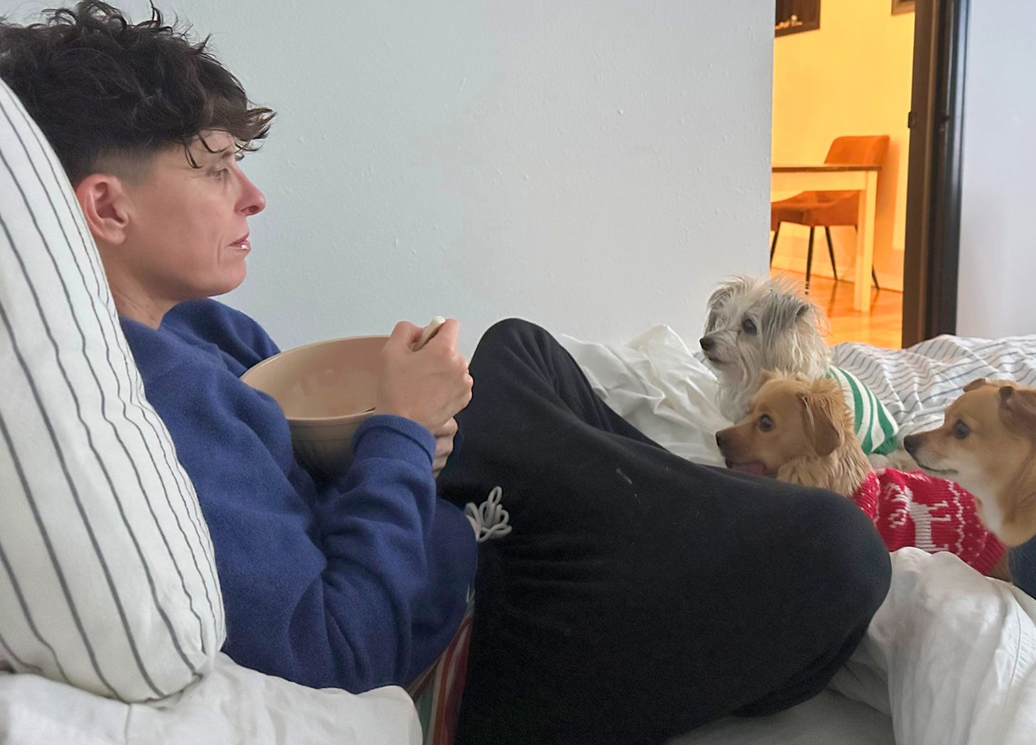 Andrea Gibson eating a bowl of soup in bed while 3 tiny dogs stare longingly for a bite of food. 