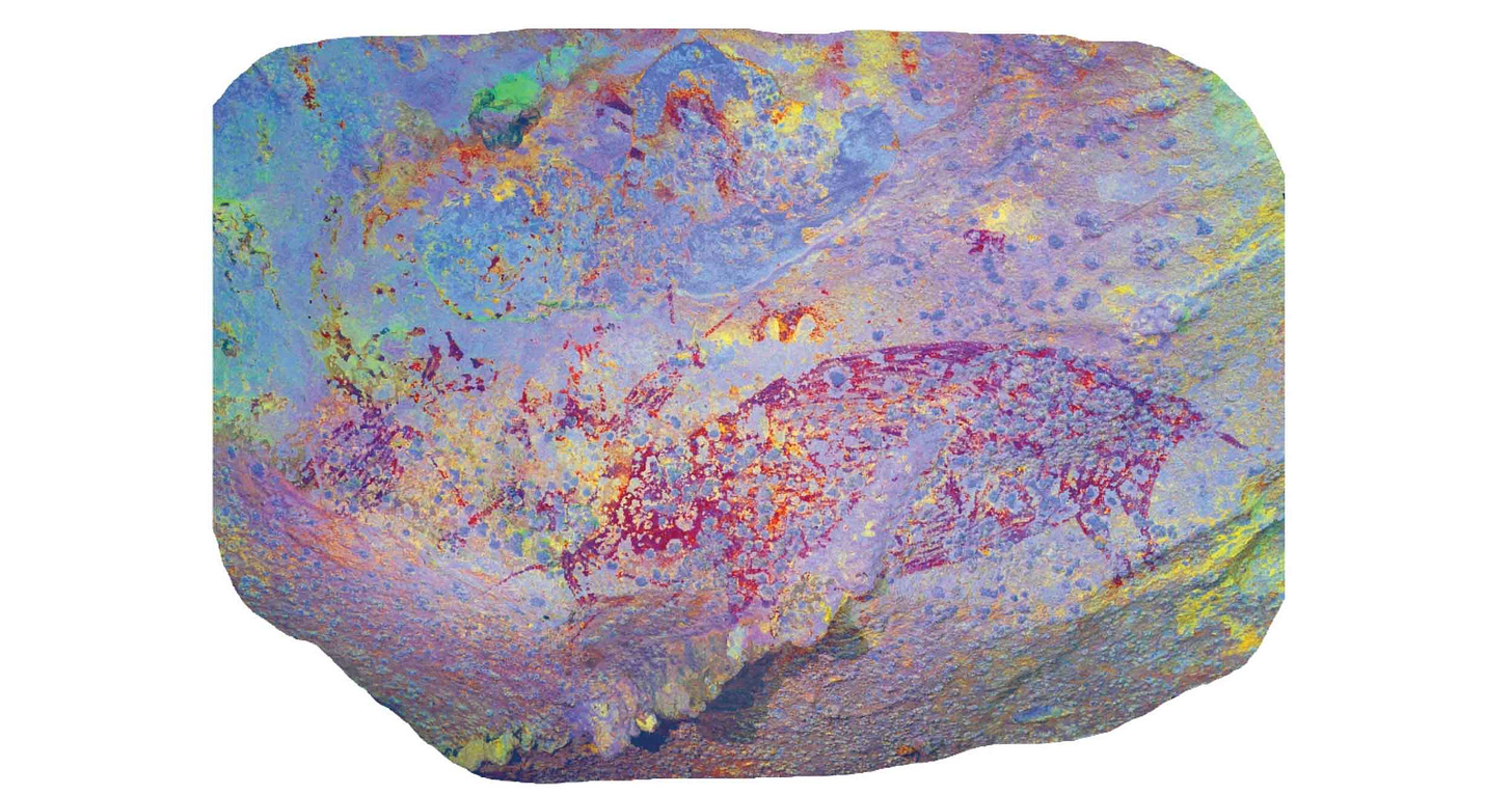 A highlighted colored image of a painted pig A highlighted colored image of a painted pig