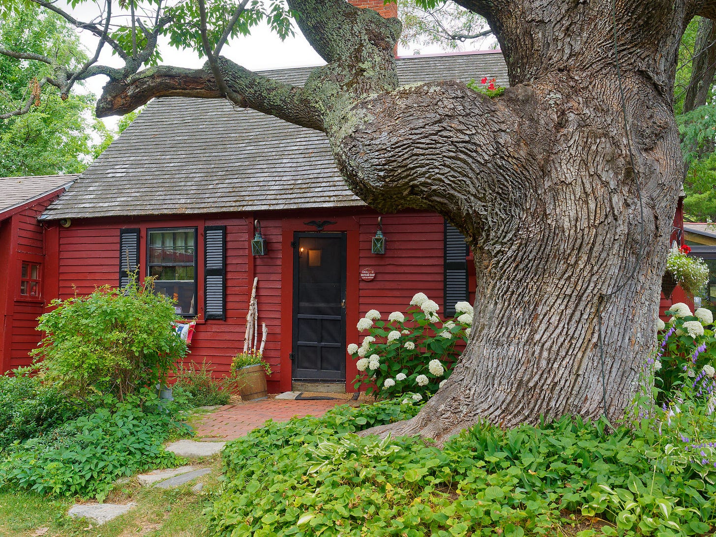 Exterior of Pickity Place