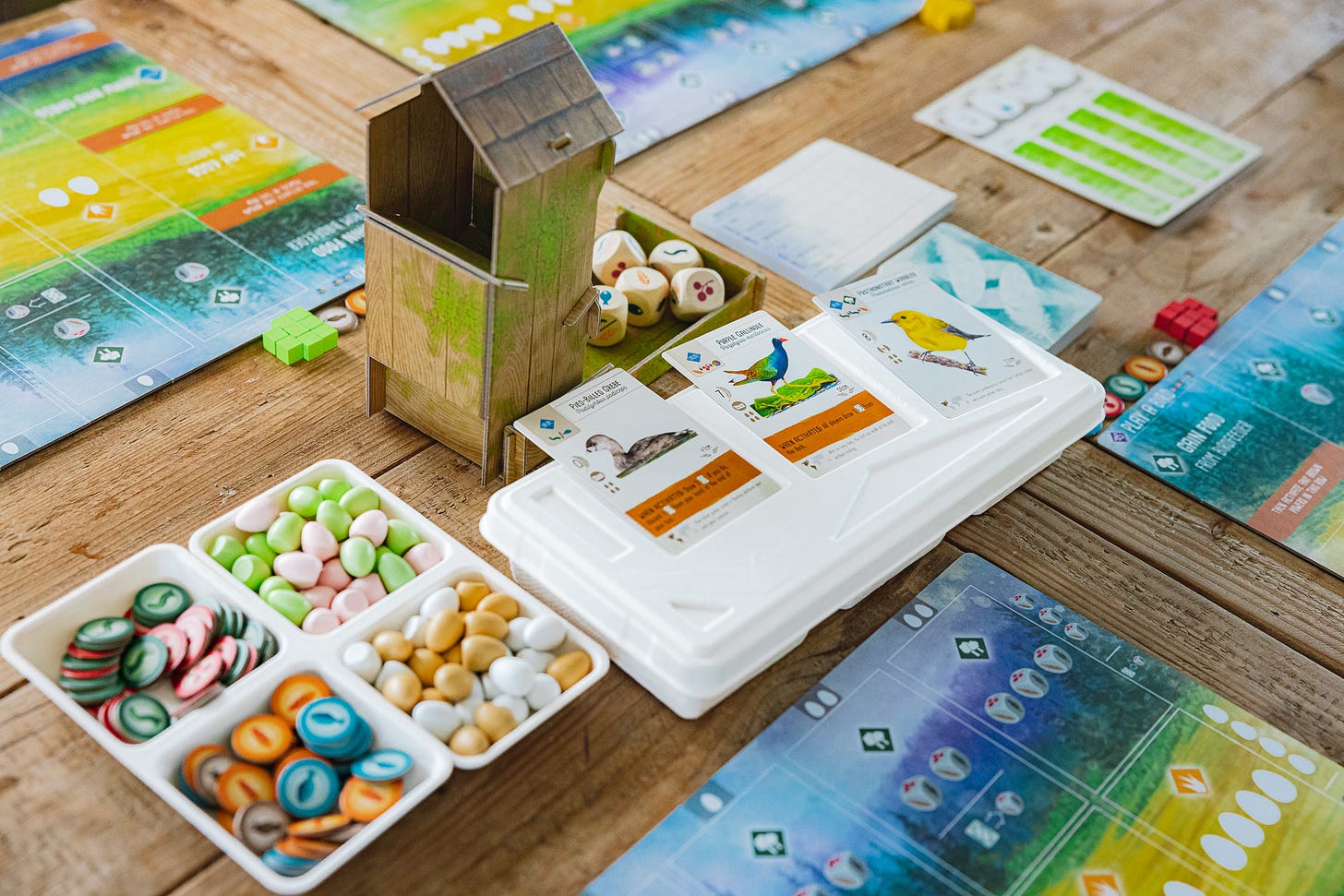 Game components from the plastic-free edition of Wingspan