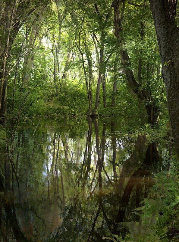 Image 5901043 Image 5901043