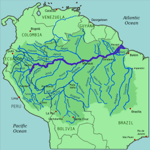Amazon River - Wikipedia