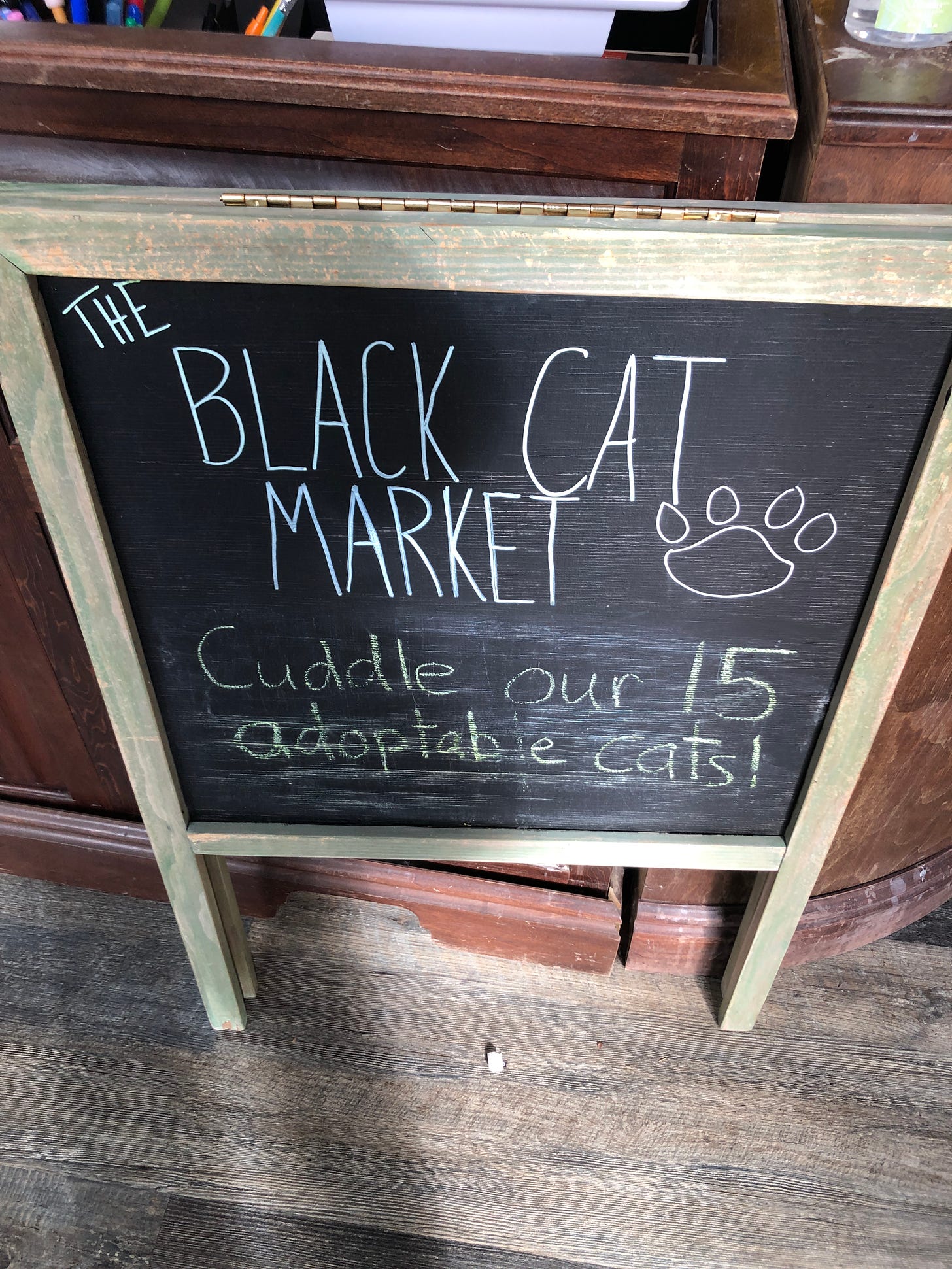 The Black Cat Market — Cuddle our 15 adoptable cats!