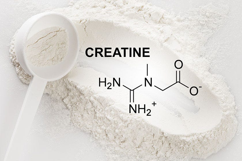 Is Creatine Good For Seniors? | TerraBella