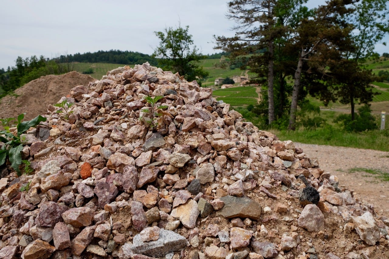 Granite rubble in the vineyard at Château de Poncié