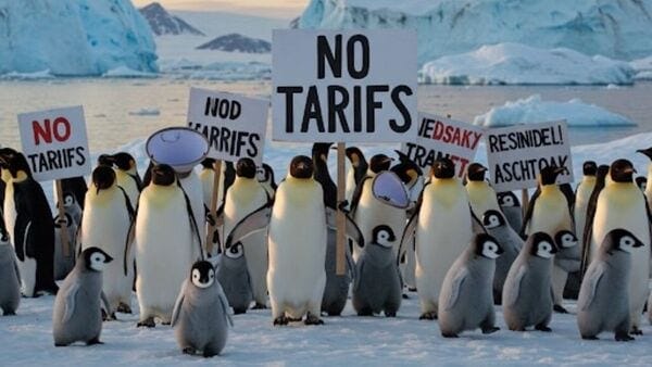 These subantarctic islands, technically an external Australian territory, are inhabited by only penguins