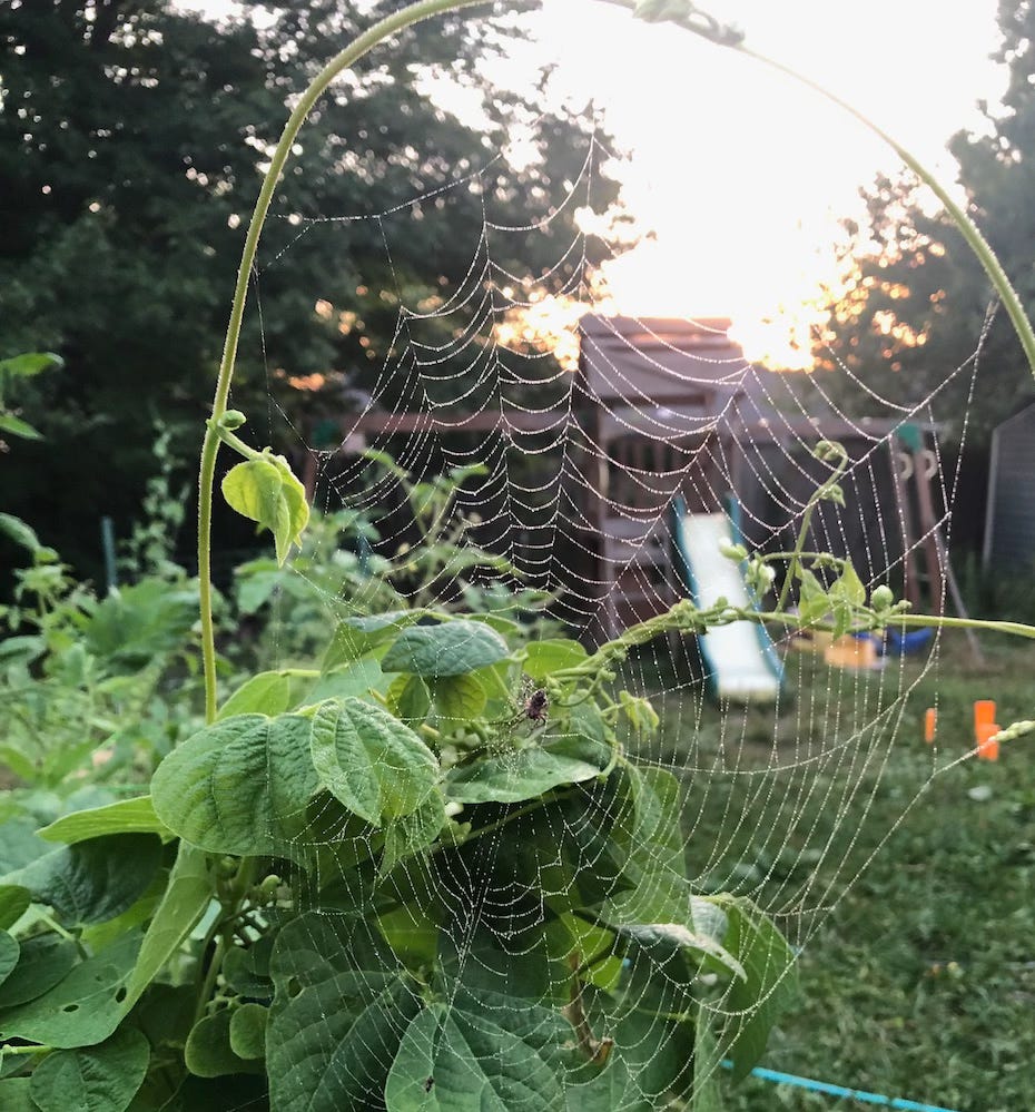 The Wondrous Raincoat by Melanie Bettinelli