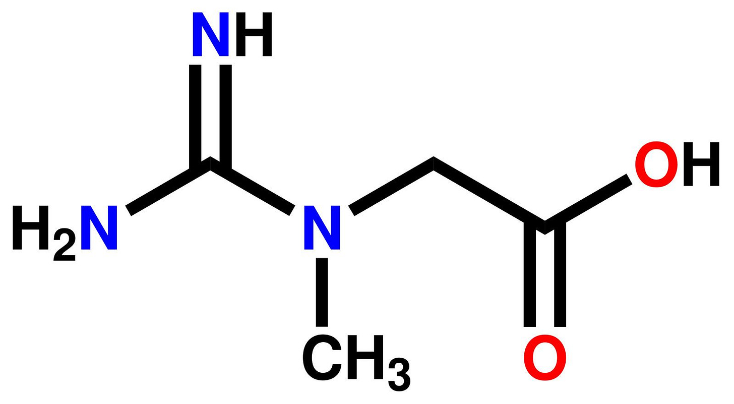 Creatine | Definition & Applications | Britannica