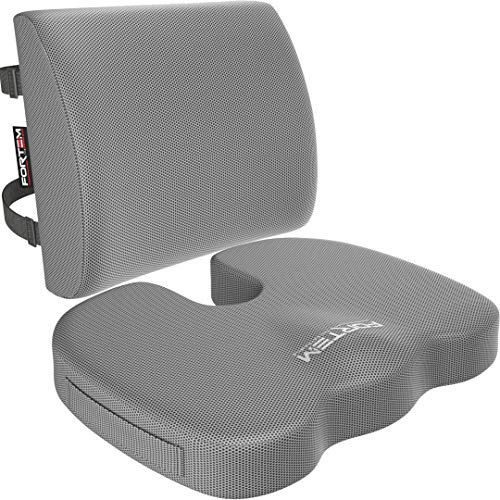 Seat Cushion and Lumbar Support