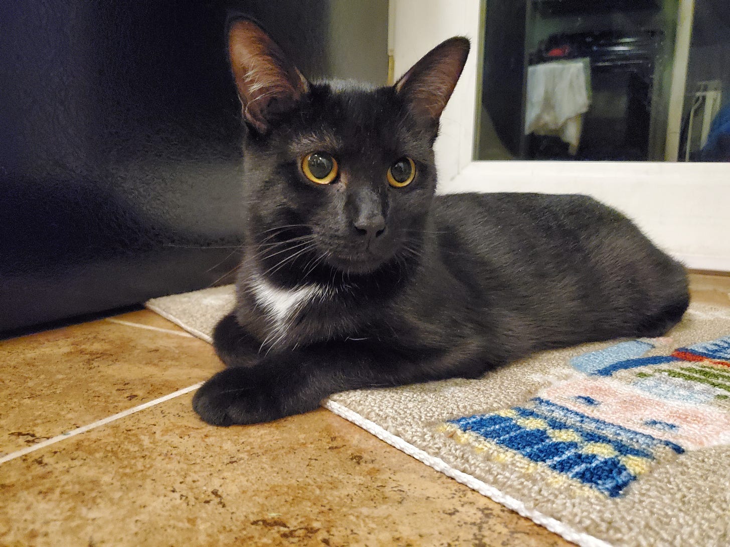 A black cat with yellow eyes and a white collar patch lies comfortably on a kitchen mat, gazing off to the right