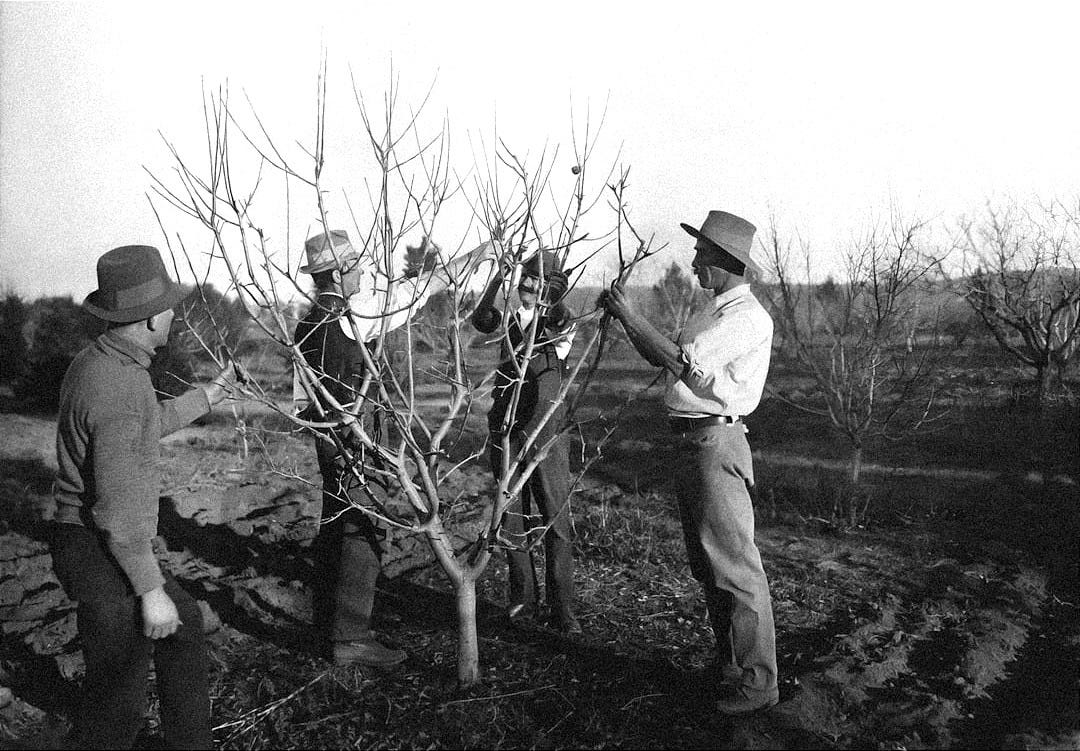 a group of men standing next to each other near a tree