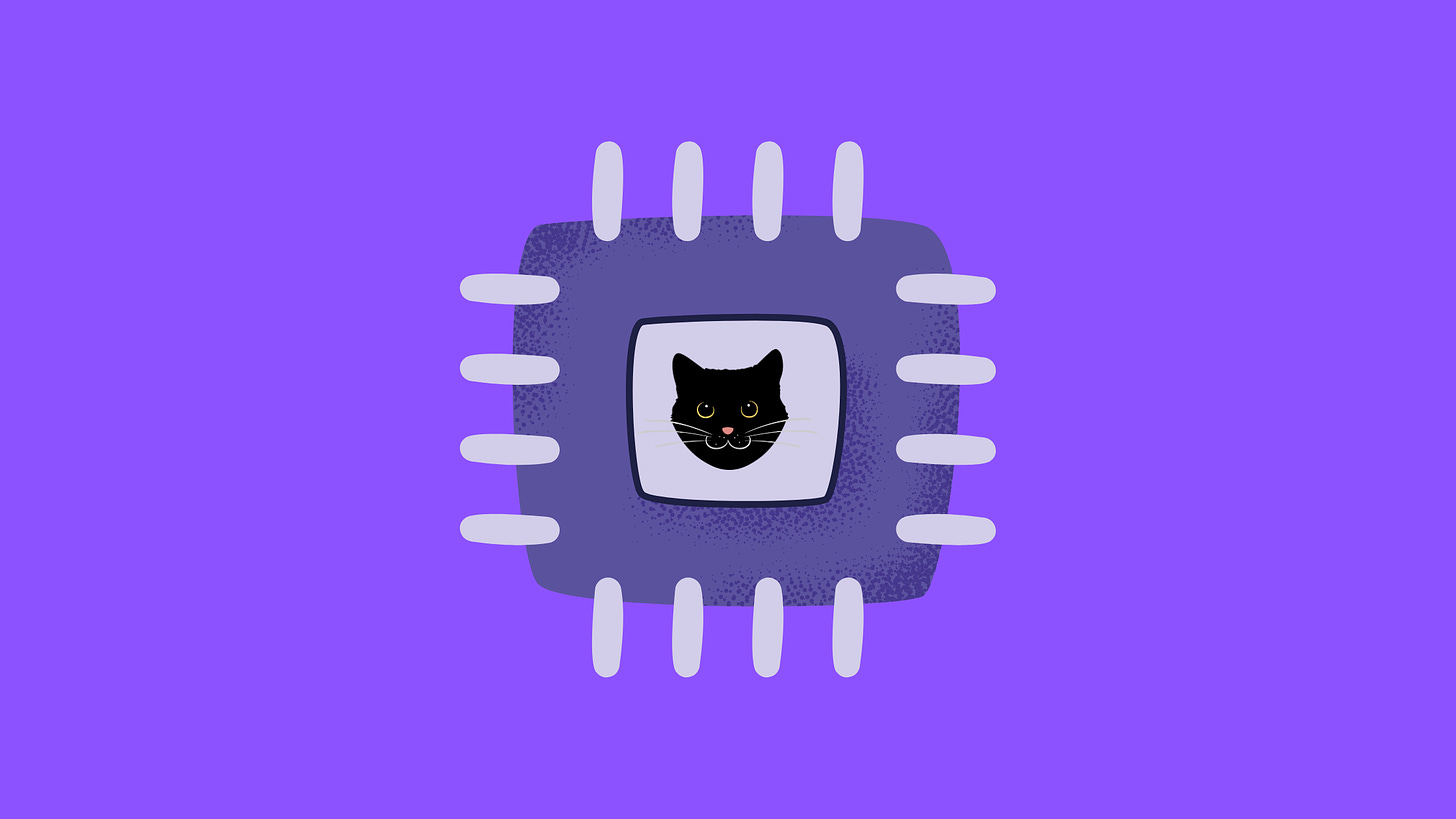 Image of cat face inside microchip