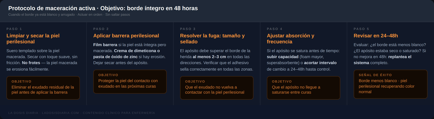 Protocolo de maceración activa en 5 pasos