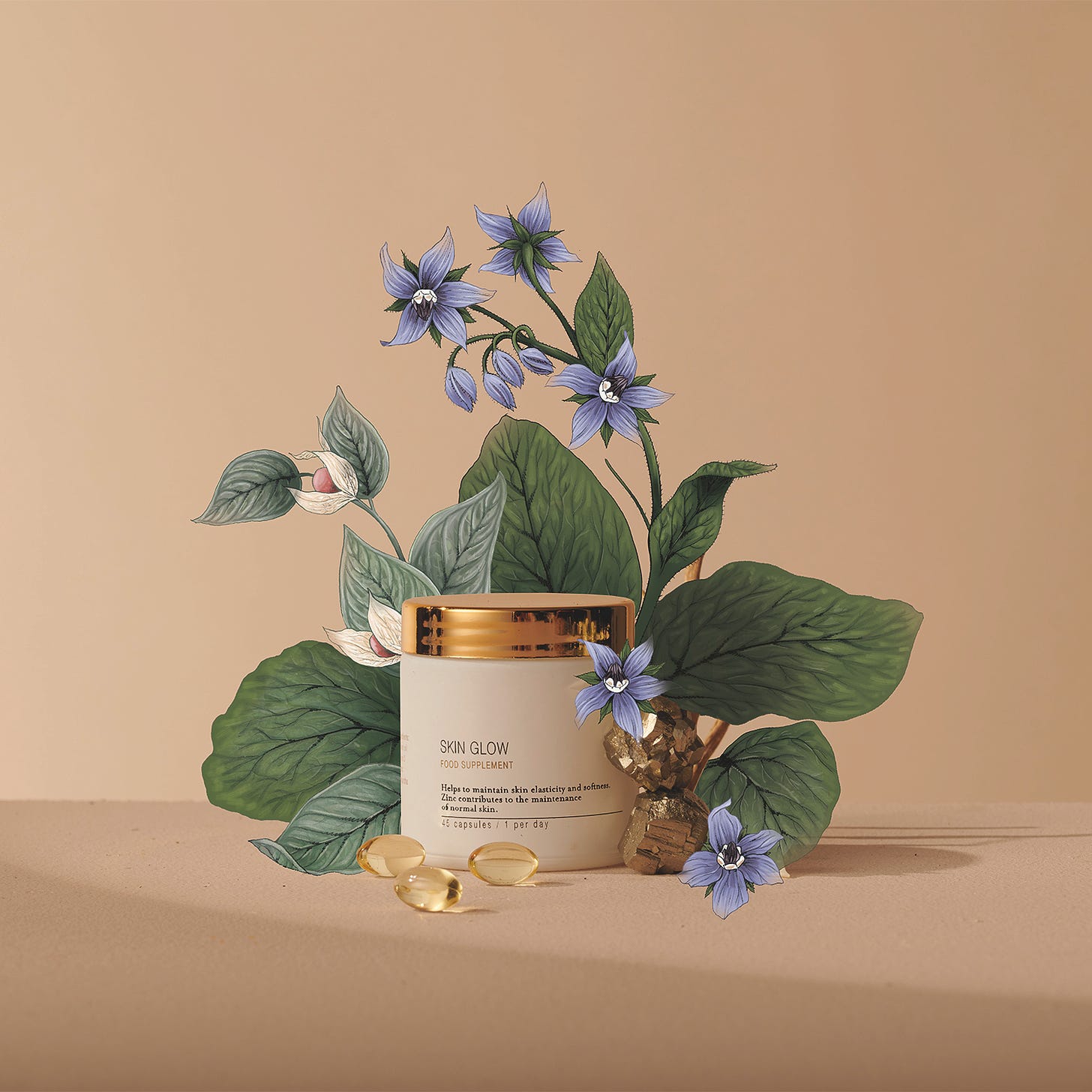 an illustration in botanical style of a borage plant surrounding a beauty pot, illustration by la scarlatte pauline Teunissen