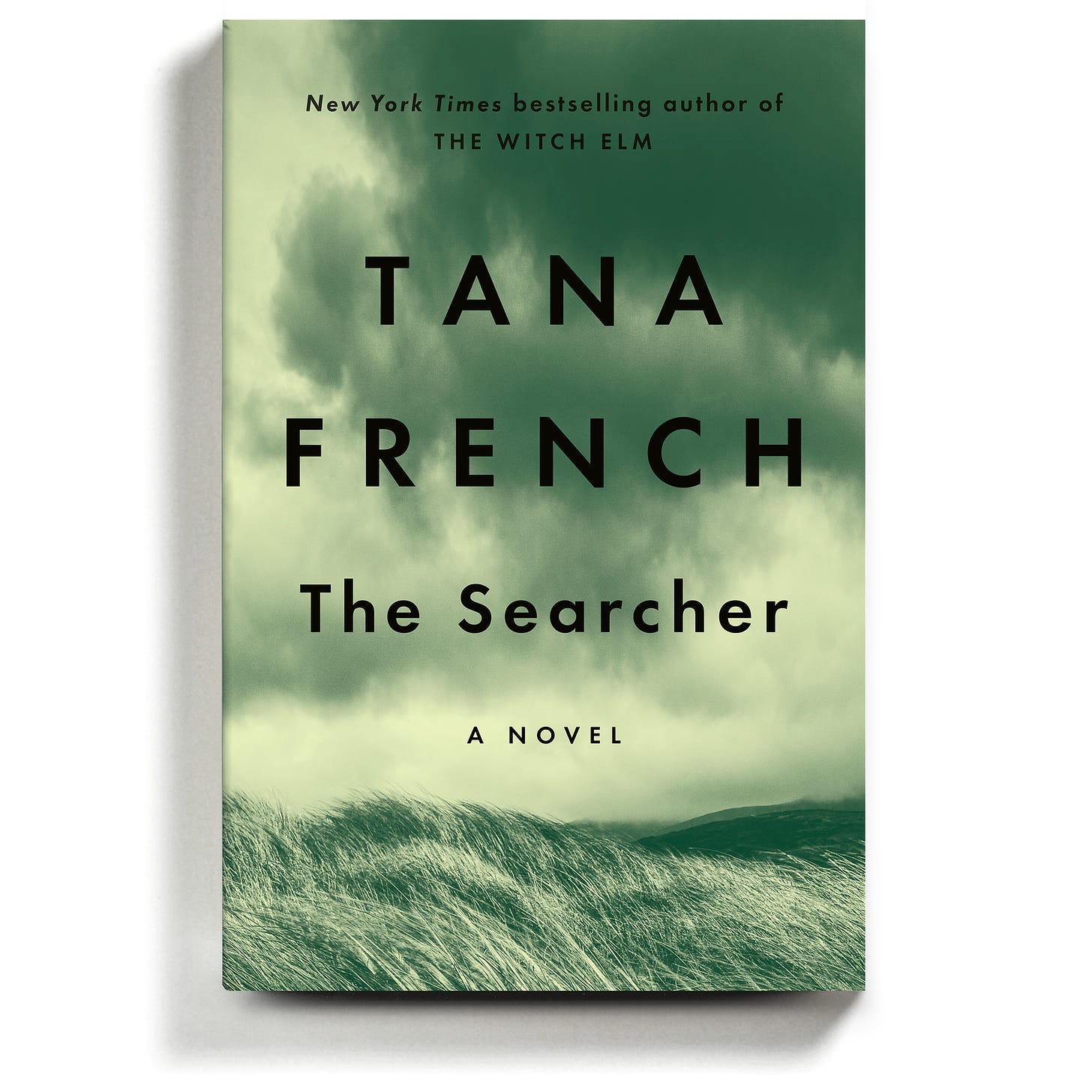 Tana French's Irish Western Features a Retired Lawman and a Missing Boy - The  New York Times