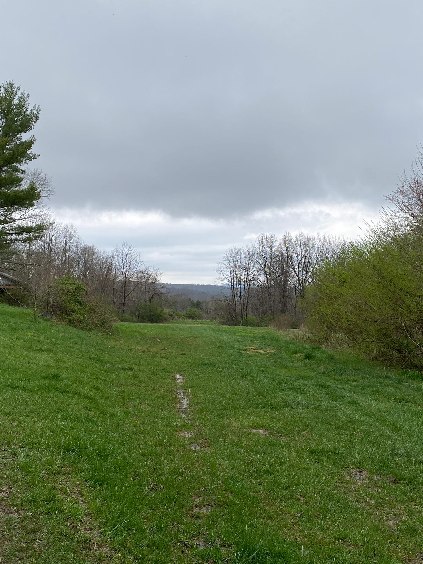 A narrow, long, grassy field, with trees at the end, and a ridge visible in the distance. Brush is growing on the right side. The photo was taken on an overcast day, so the sky, which takes up the top 2/3 of the image, is gray, with paler strips closer to the ridge. 