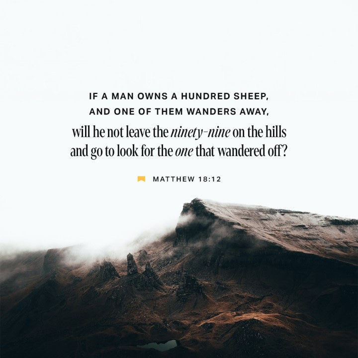 God's Seemingly Reckless Love // Matthew 18:12