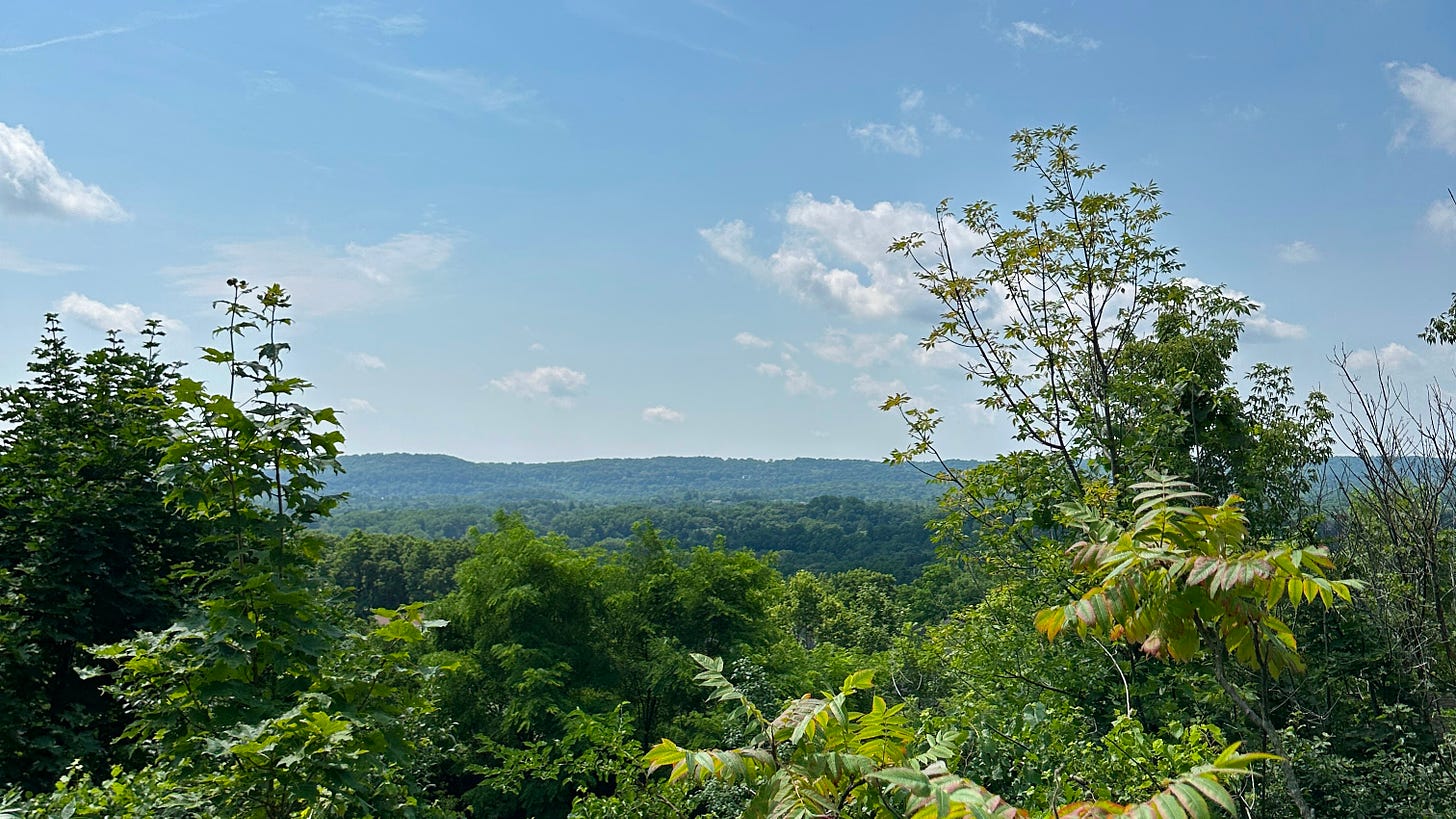 Hamilton from the beautiful trails in the Spencer Gorge in Dundas