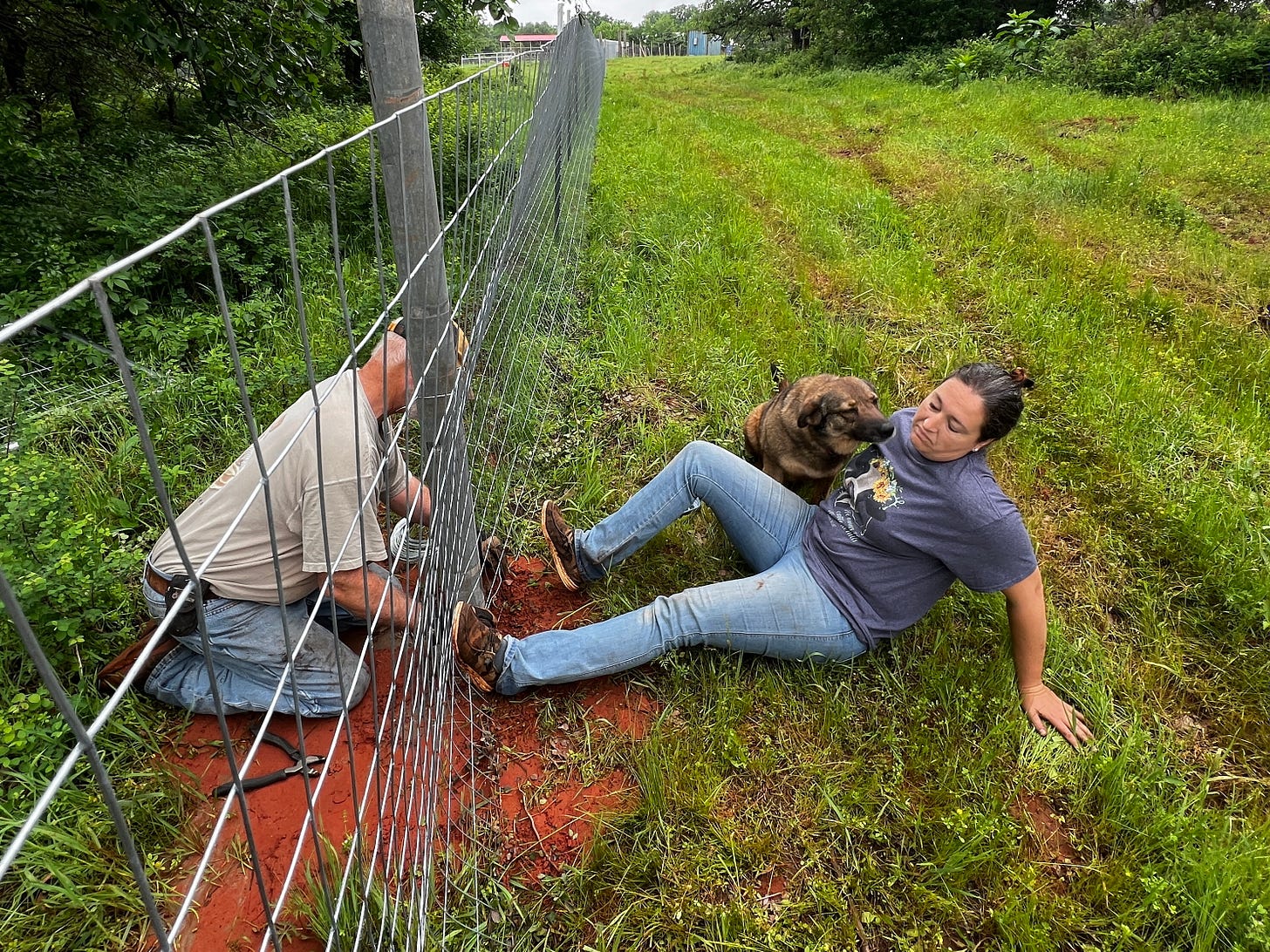 A man, woman and a dog installing a fence