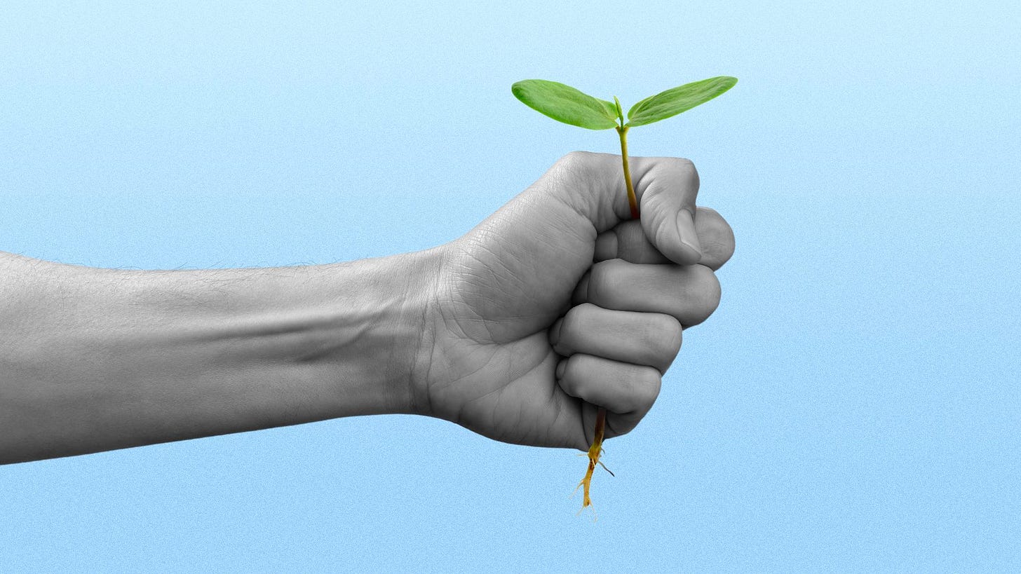 Illustration of a fist grasping a sprout with a few leaves
