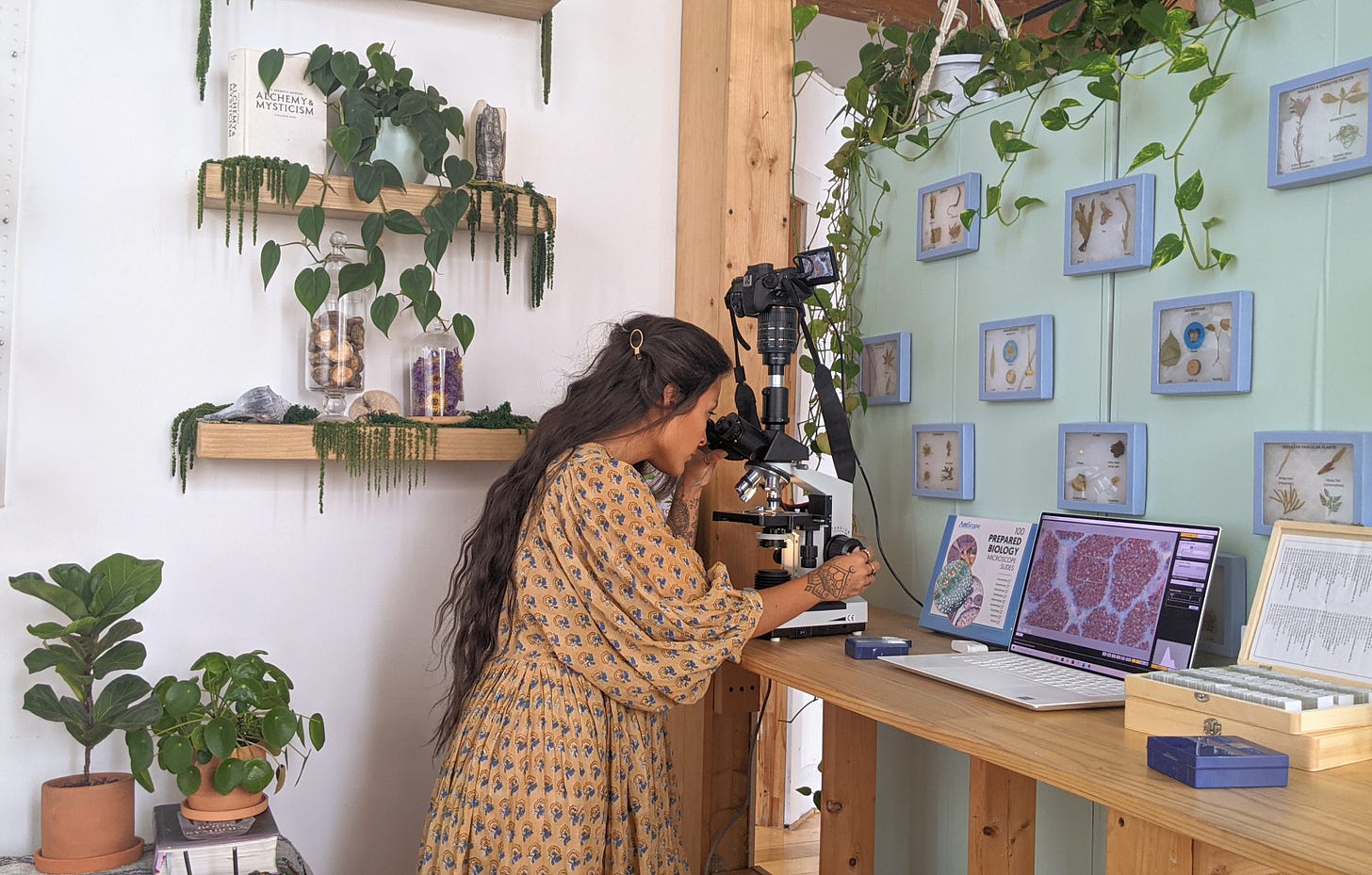 Caro standing and looking through a telescope on a shelf, with framed studies of plants and animals on the walls in front of her, and plants on shelves to her side