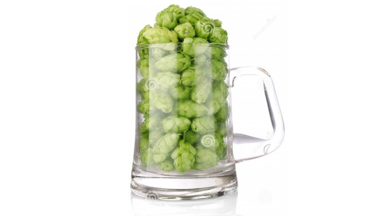 Hops in glass