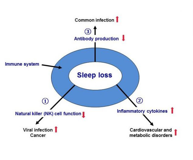 Module 2. Sleep and the Immune System (Continued) | NIOSH | CDC
