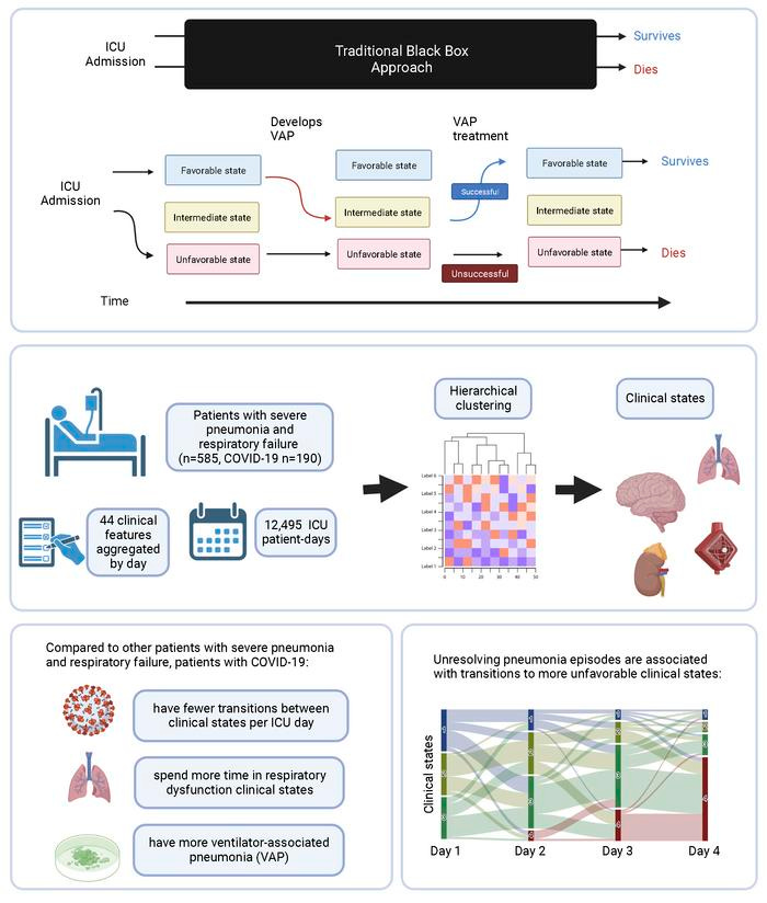 graphical abstract